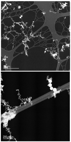 FIG. 4 STEM annular dark field images of collected welding fume, showing the presence of two distinct types of primary particle.