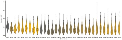 Figure 2. Violin plots showing inbreeding based on runs of homozygosity (ROH) across the 31 horse autosomes.