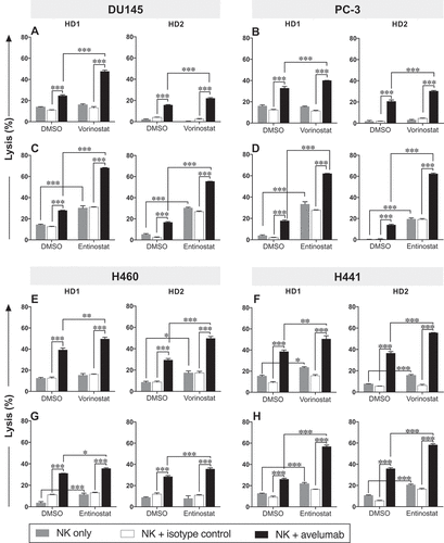 Figure 2. Prostate and NSCL human carcinoma cells exposed to vorinostat or entinostat are more sensitive to avelumab-mediated ADCC. DU145 (A, C) and PC-3 (B, D) prostate carcinoma cells and H460 (E, G) and H441 (F, H) NSCL carcinoma cells were exposed to vorinostat (A, B, E, F), entinostat (C, D, G, H), or DMSO, as described in Materials and Methods, prior to being used as targets for NK cell lysis (4 h), in the presence or absence of avelumab or isotype control (2 ng/mL). Purified NK cells from 2 healthy donors were used as effectors at an effector:target ratio of 30:1. Results are presented as mean ± S.E.M. from 3 replicate wells, and are representative of 2–4 independent experiments. Asterisks denote statistical significance relative to controls (2-way ANOVA). * p < 0.05; ** p < 0.01; *** p < 0.001