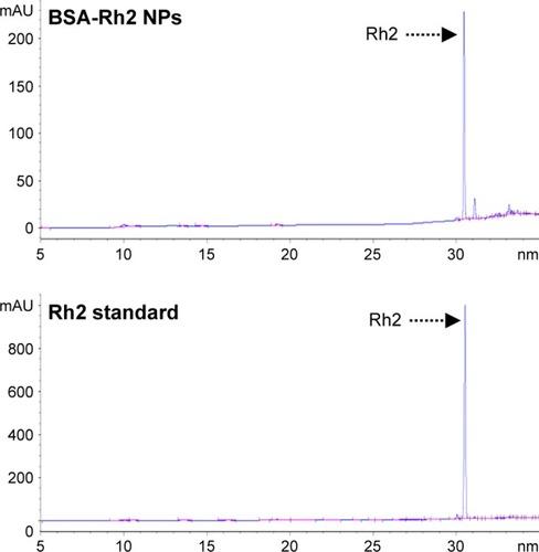 Figure 2 HPLC analysis of BSA-Rh2 NPs as compared with standard Rh2.Abbreviations: BSA, bovine serum albumin; NPs, nanoparticles; HPLC, high-performance liquid chromatography.