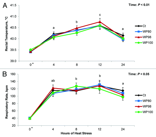 Figure 1. Effects of feeding diets containing no test product (Ct), or 80% milk whey protein (WP) + 20% colostral whey protein (CWP; WP80), 98% WP + 2% CWP (WP98), 100% WP (WP100) test products on (A) rectal temperature and (B) respiratory rate of pigs exposed to constant heat stress conditions (32 °C) for 24 h. a,b,c Represent differences between hours of heat stress (P ≤ 0.05). *Represents the average values during period 1.