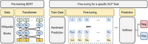 Figure 6. BERT Fine-tuning pipeline for a sample sentiment identification task.