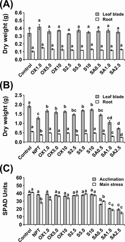 Figure 1. Vegetative growth and physiological data showing dry weight after a 7-day acclimation period (A) and dry weight (B) and leaf chlorophyll concentration shown as SPAD units (C) after 14 days of exposure to main saline-alkaline stress (SAS) treatment (B). plants were pre-treated with various concentrations of NaCl (S) (2.5, 5.0, and 10 mM), H2O2 (OX) (1.0, 5.0, and 10.0 µM), and NaHCO3 (SA) (0.5, 1.0, and 2.5 mM) for 7 days and subjected to 50 mM Na, pH 8.25 for 14 days. the data represents means ± standard errors from five biological replicates. different letters indicate significant differences by tukey’s multiple comparison tests at P < 0.05.