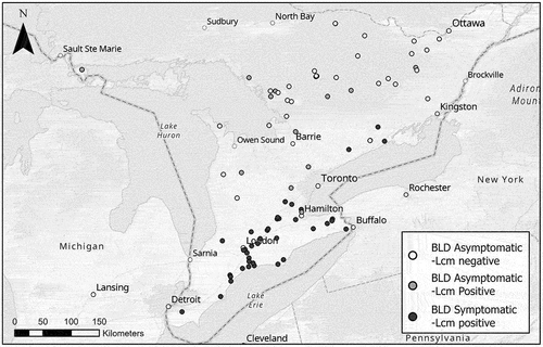 Fig. 2 Detection of Litylenchus crenatae mccanii DNA in beech leaves from locations with and without BLD in Ontario, Canada. A total of 168 symptomatic and asymptomatic beech leaves were collected from the indicated coordinates between June and September 2022. Map credit: Marc Ouellette.