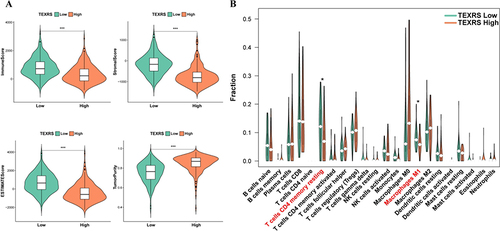 Figure 7 Different immune microenvironments existed in high and low TEXRS groups. (A) ESTIMATE score of high and low TEXRS; (B) Immune cell infiltration of high and low TEXRS. *P < 0.05, ***P < 0.001. TEXRS, T cell exhaustion risk score.