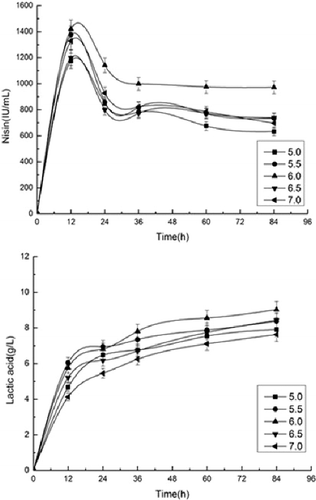 Figure 4. Effect of initial pH value on simultaneous saccharification and fermentation for nisin and lactic acid production from pretreated corn stover.