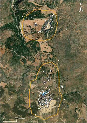 Figure 6. Roosting and foraging areas used by tagged black kite on Crete. White dots represent all recorded positions, Blue dots refer to night roosts. The orange polygon represents the home range estimate as kernel density estimate 95%, a – landfill, b – small artificial water reservoir.