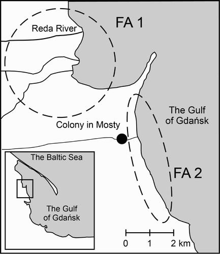 Figure 1. Study area with the colony in Mosty (black point) and the main foraging areas (FAs) of Grey Herons Ardea cinerea (broken line ovals; FA1, Reda River Valley including wet meadows, canals and the river mouth; FA2, the Gulf of Gdańsk coastal area including shallow coastal water and wet meadows).