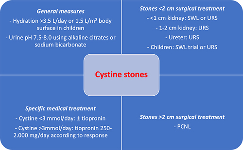 Figure 1 Summary of management in patients with kidney stones.