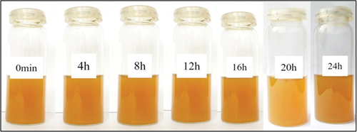 Plate 1.Reaction mixture at seven different time intervals before incubation.