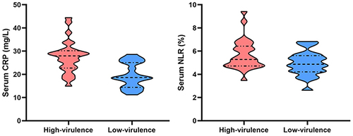 Figure 2 The violin plot shows the distribution of serum CRP and NLR levels in high-/low-virulence groups. The black line in the center indicates the median, the dashed lines above and below indicate the range of data, and the width of the violin indicates the density of data within that range.