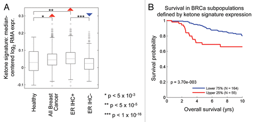Figure 6 The ketone-induced gene signature is associated with ER(+) breast cancer and predicts poor clinical outcome. (A) Boxplots illustrate differential regulation of the ketone signature expression in breast cancer versus healthy breast tissue. Arrows indicate the directionality of differential regulation within each population. (B) Survival curves within low and high ketone signature-expressing populations are shown for overall survival in ER-positive breast cancer. This signature contains ∼4,141 genes (See Sup. Table 2).