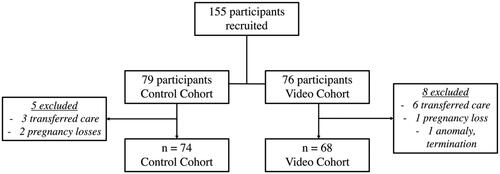 Figure 1. Enrollment of participants in both the control and video cohorts.