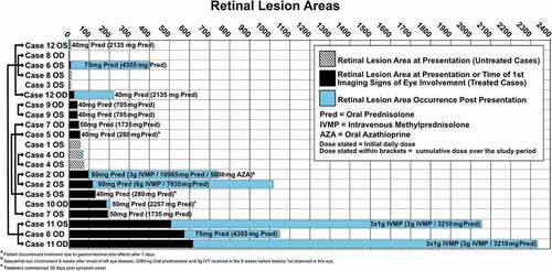 Figure 2. Comparison of presenting retina lesion areas and retinal lesions post-presentation in untreated and treated cases.