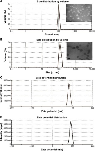 Figure 4 Size and zeta potential distribution of FAPLCS and FAPLCS/SPIONs.Notes: The mean diameter of FAPLCS was 121.70±3.70 nm; the insert shows TEM images of FAPLCS micelles (A). The mean diameter of FAPLCS/SPIONs was 136.60±3.90 nm; the insert shows FAPLCS/SPION micelles (B). The mean zeta potential value of FAPLCS was 50.50±3.10 mV (C). The mean zeta potential value of FAPLCS/SPIONs was 52.10±0.90 mV (D). Scale bar =100 nm for all inserts.Abbreviations: FAPLCS, folate-conjugated N-palmitoyl chitosan; SPION, superparamagnetic iron oxide nanoparticle; TEM, transmission electron microscopy.
