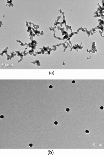 FIG. 3 TEM images of (a) aggregate silver particles (no DMA size selection) and (b) sintered (spherical) silver particles, particle size is 28.5 nm based on DMA selection and 28.6 nm based on TEM measurement. TEM measurement is based on total of 139 particles. (Reprinted from Zhou and Zachariah 2011 with permission from Elsevier.)