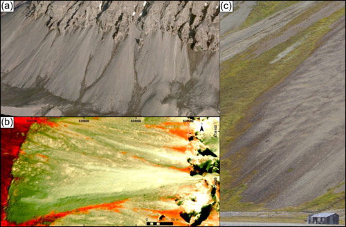 Figure 5. Examples of colluvial fan surface morphology: (a) oblique view of short and steep colluvial fans located along the fjord margin; (b) an NIR (false colour: Near Infrared – Red – Green) composite satellite image of a colluvial fan with recently modified areas emphasized by a light grey colour. The older parts of the fan are shown in green. Note also that the inactive parts of the slope between fans are vegetated and therefore highlighted in near-infrared (red in the image). Source: © Digital Globe; (c) ground-view of coalescing colluvial fans.