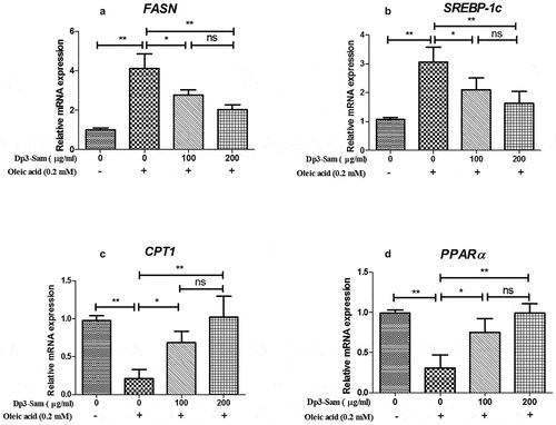 Figure 9. Effect of delphinidin-3-sambubioside (Dp3-Sam) on lipid metabolism in HepG2 cells. HepG2 cells were stimulated with oleic acid (0 or 0.2 mM) and treated with different concentrations of DP (100 or 200 µg/ml) for 24 h. The mRNA levels of FASN (a), SREBP-1 c (b), CPT1 (c), and PPARα (d) were measured by qRT-PCR. Data are reported as mean ± SEM. * P < 0.05, ** P < 0.01, no significant difference (ns)