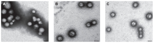 Figure 2 Spherical morphology of nude NPs (A) and NPs encapsulated with insulin (B) or naproxen (C) observed via transmission electron microscopy.Note: Scale bar: 200 nm.Abbreviation: NP, nanoparticle.