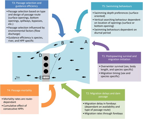 Figure 1. A summary of the five main themes and main focuses within each theme from the literature review, illustrated for a HPP (top view) with: a forebay (A), a nature-like fishway (B), a guidance structure (C), a dam with three turbines (D), and a technical fishway (E).