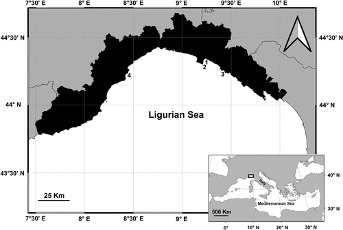 Figure 1. P. oceanica meadows location within the study area. 1: Prelo Bay; 2: Punta Pedale; 3: Punta Manara; 4: Bergeggi.