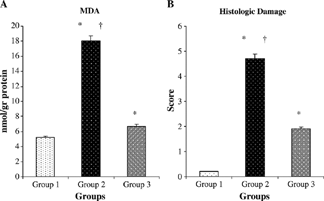 Figure 3. Comparative MDA (A) and histologic score (B) measurements at the groups. *p < 0.05 compared with group 1. †p < 0.05 compared with group 3. Values are mean ± SEM. MDA, malondialdehyde.