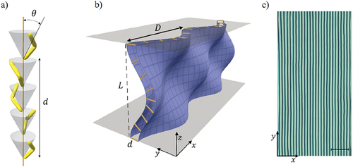 Figure 2. (a) in the twist-bend nematic phase, the far ends of the bent molecules rotate on a cone with a heliconical pitch d and θ is the tilt angle. This is the simplified figure, there are no layers. (b) Three-dimensional undulation of a pseudo-layer of thickness d in a thin planar cell of thickness L (c) results in a striped pattern that acts as a diffraction grating with period d. The yellow lines in (b) represent the local direction perpendicular to the layer (the local direction of the heliconical axis) and thus the local direction of the optical axis. The length of the measurement line in (c) represents the length of 10\mum. Reproduced from Ref. [Citation6] with permission from John Wiley & Sons.