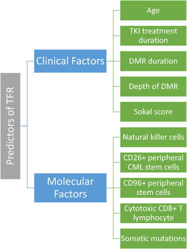 Figure 2 Known predictors of treatment-free remission.