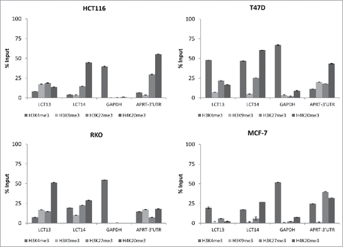 Figure 6. Histone modifications at LCT13 and LCT14 in cancer cell lines. ChIP assays performed using antibodies against active (H3K4me3) and repressive (H3K9me3, H3K27me3, H4K20me3) histone marks in LCT13 positive and LCT14 negative HCT116 cells (top left panel), in LCT13 and LCT14 negative RKO cells (bottom left panel), and in LCT13 and LCT14 positive T47D (top right panel) and MCF-7 (bottom right panel) cells. GAPDH is a promoter Taqman assay used as a positive control for H3K4me3 and APRT-3′UTR has been previously shown to be enriched at repressive mark H4K20me3.