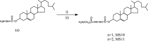 FIG. 1 Synthesis of glycylcholesterylformylhydrazide (MS10) (n = 1) and β -alanylcholesterylformylhydrazide (MS11) (n = 2) from cholesterylformylhydrazide (a). i = NHS esters of N-trityl amino acids; ii = AcOH/H2O.