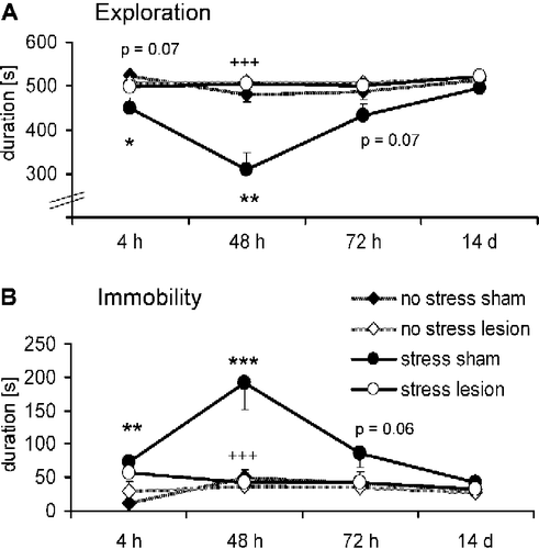 Figure 2 Effects of bilateral rPRh lesions on the stress-induced behavior changes measured in the open field. (A) exploration behavior, (B) immobility behavior. Rats were tested 4 h, 48 h, 72 h, and 14 days after foot-shock stress in the following four groups of rats: No stress+sham lesioned (n = 10; ♦), no stress+rPRh lesion (n = 12; ◊), stress+sham lesioned (n = 9; •) and stress+rPRh lesion (n = 11; ○). Data are presented as group means ± SEM. *p < 0.05, **p < 0.01, ***p < 0.001 (stress effect),+++p < 0.001 (interaction stress condition × lesion).