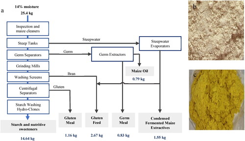 Figure 2. Maize wet milling process and MGM.a) wet milling process, b) dry MGM, c) wet MGM. a) adapted from Blasi et al. (Citation2001); b) and c) from Ribeiro et al. (Citation2019) under CC BY 4.0.