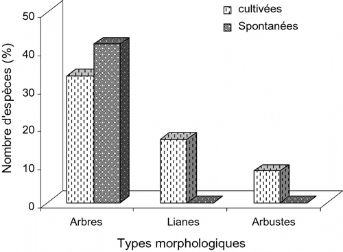 Fig. 7 Distribution des taxons inventoriés suivant les types morphologiques. Fig. 7. Distribution of taxa inventoried according to the morphological types.