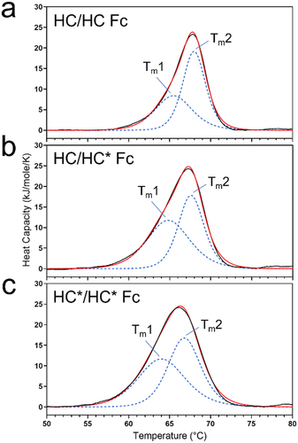 Figure 3. DSC thermograms of Fc subunit of (a) HC/HC homodimer, (b) HC/HC* heterodimer, (c) HC*/HC* homodimer of REGN bsAb-1 in 150 mM ammonium acetate, pH 6.0. Black trace represents the experimental data. The blue dotted traces represent the thermal transition fits and the red trace represents the cumulative fit data.