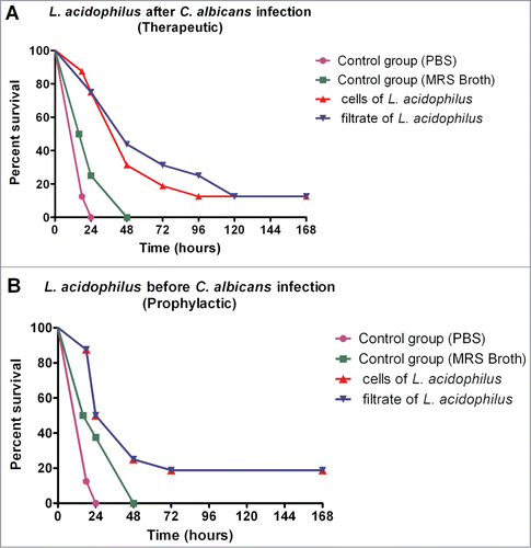 Figure 4. Effects of L. acidophilus on experimental candidiasis based on the analysis of survival curves of G. mellonella larvae (A) Therapeutic groups: significant differences were observed between the C. albicans + L. acidophilus cells group and PBS control group (p=0.0001) and between the C. albicans + L. acidophilus culture filtrate group and MRS control group (p=0.0002) (B) Prophylactic groups: significant differences were observed between the C. albicans + L. acidophilus cells group and PBS control group (p=0.0001) and between the C. albicans + L. acidophilus culture filtrate group and MRS control group (p=0.0490) Log-rank test, p ≤ 0.05.