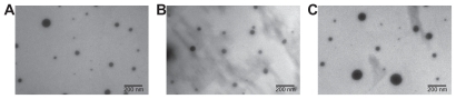 Figure 5 Transmission electron micrographs show particles composed of siRNA-5310 (A), DNA-453 (B), and DNA-537 (C).Note: Scale bar in each 200 nm.