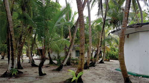 Figure 1. Chalets on the island resort (photo by authors).