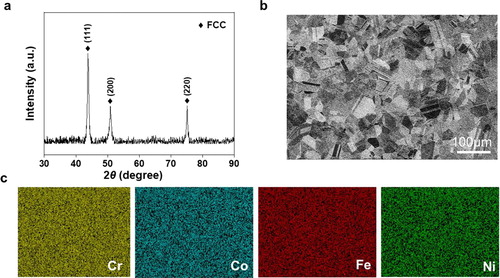 Figure 1. (a) XRD pattern, (b) microstructures and (c) the corresponding elemental distribution of the CrCoFeNi alloy after annealing.
