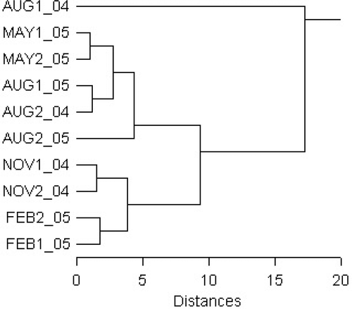 Fig. 4. Caulerpa racemosa: cluster analysis dendrogram of fatty acid composition during seasons 2004/2005 at two sites.