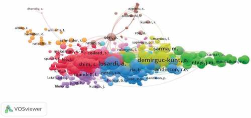 Figure 19. Co-citations of cited authors (RQ7(c)).