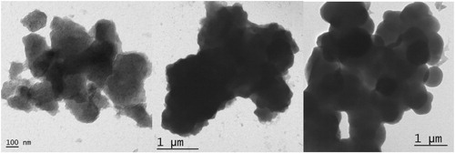 Figure 5. TEM images for complexes (a) [La(C15H12N2OH)2(H2O)Cl], (b) [La(C15H12N2OH)(C5H10NS2)(2 H2O)Cl], (c) [La(C15H12N2OOCH3)(C2H5OCS2)(2 H2O)Cl].