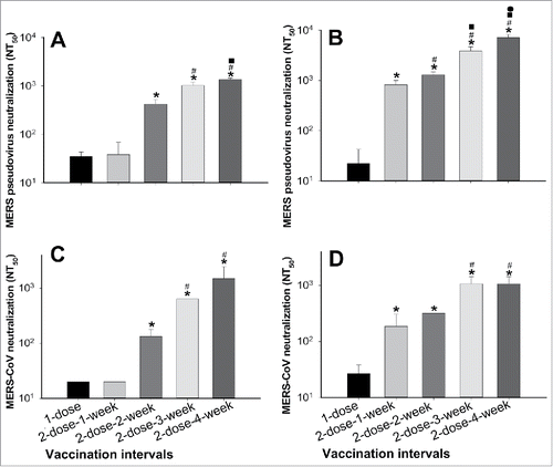 Figure 3. Neutralizing antibodies induced by S377-588-Fc at different immunization doses and intervals. Neutralizing antibodies against MERS pseudovirus (A, B) and live MERS-CoV (C, D) infection in Huh-7 and Vero E6 cells, respectively, in mouse sera from 10 (A, C) and 40 (B, D) days post-last immunization. Pseudovirus neutralizing antibodies are expressed as 50% neutralizing antibody titers (NT50), and live neutralizing antibody titers are expressed as the reciprocal of the highest dilution of sera that resulted in complete inhibition of virus-induced cytopathic effect (CPE) in at least 50% of the wells (NT50). The data are presented as mean ± SD from five mice in each group. For (A) and (C), significant differences were revealed between 1-dose and 2-dose-2-, 3- or 4-week, or 2-dose-1-week and 2-dose-3- or 4-week, respectively (*); or between 2-dose-2-week and 2-dose-3- or 4-week, respectively (#). For (A), significant differences were also revealed between 2-dose-3-week and 2-dose-4-week (▪). For (B), significant differences were observed between 1-dose and the four 2-dose groups, respectively (*); between 2-dose-1-week and 2-dose-2-, 3- or 4-week, respectively (#); between 2-dose-2-week and 2-dose-3- or 4-week, respectively (▪); or between 2-dose-3-week and 2-dose-4-week (•). For (D), significant differences were observed between 1-dose and the four 2-dose groups, respectively (*); or between 2-dose-1-week or 2-dose-2-week and 2-dose-3- or 4-week, respectively (#).