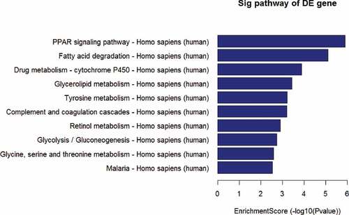 Figure 10. The enrichmentscore (-log10(Pvalue)) analyses of sig pathway of DE gene in different physiological process