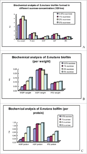 Figure 1. biochemical analysis of S. mutans biofilm formed in different sucrose concentrations.