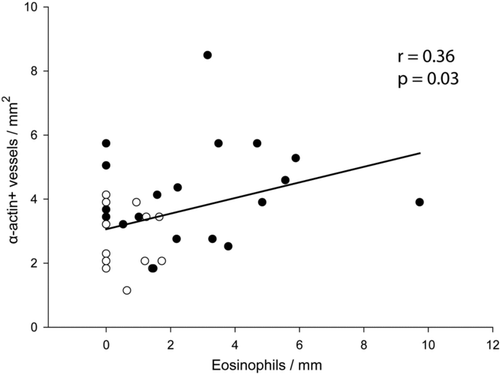 Supplementary Figure 9.  Correlation between eosinophils and muscularization. Linear regression of perivascular eosinophils with the number of vessels per mm2 positive to a-actin in lung tissue. Solid circles are CS-exposed animals and open circles are sham-exposed animals independently of time of exposure.