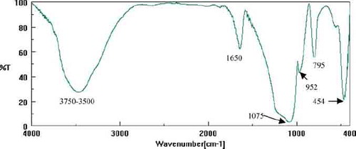 FIG. 3  FTIR spectra of silica xerogel.