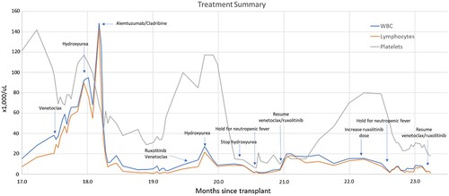 Figure 1. Annotated treatment summary.