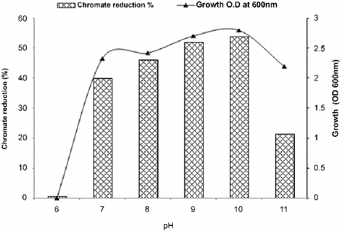 Figure 4. Effect of pH on growth and chromate reduction by Halomonas sp. M-Cr after incubation for 48 h with 50 mg L−1 Cr(VI), NaCl 0.5%, and agitation of 120 rpm, 30 °C.