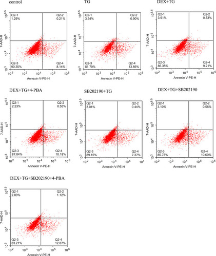 Figure 4 The percentages of apoptotic H9C2 cardiomyocytes were examined by flow cytometry under different conditions.