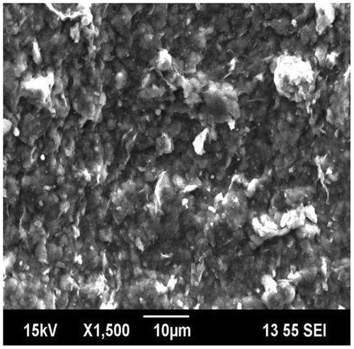 Figure 5. SEM micrographs of OA-g-CS/MMT composites.